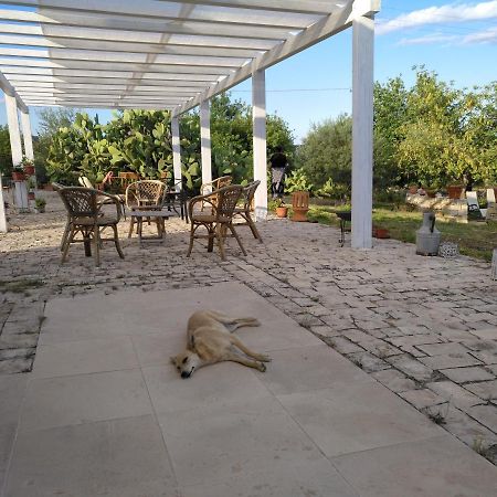 Agriturismo Gaia Villa Noto Ngoại thất bức ảnh